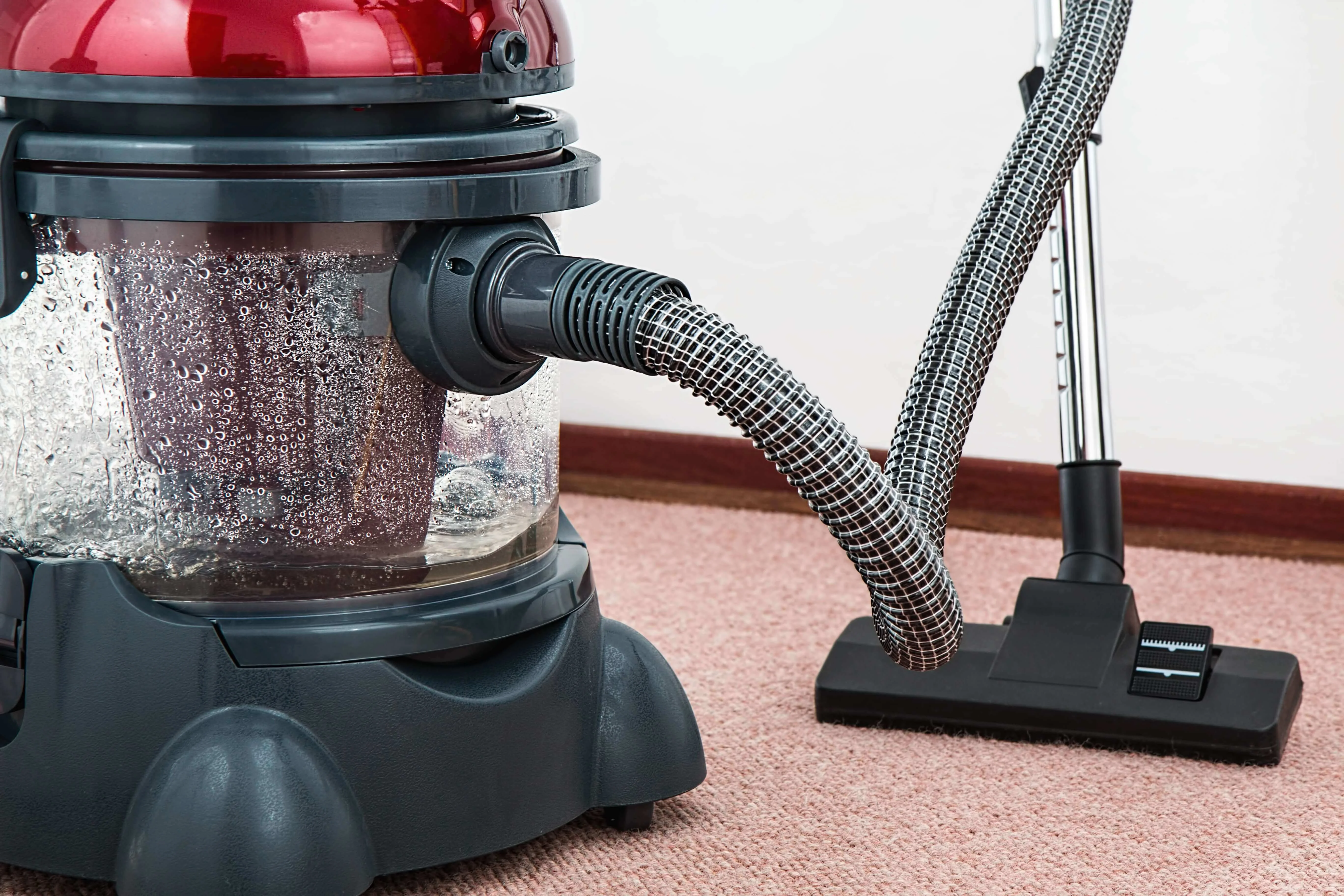 Professional Carpet Cleaning