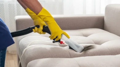 Upholstery Cleaning