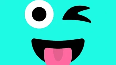 Wink Mod APK