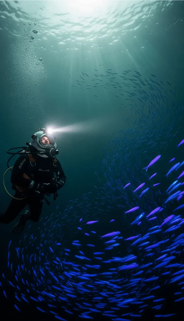 Neon-Fishing