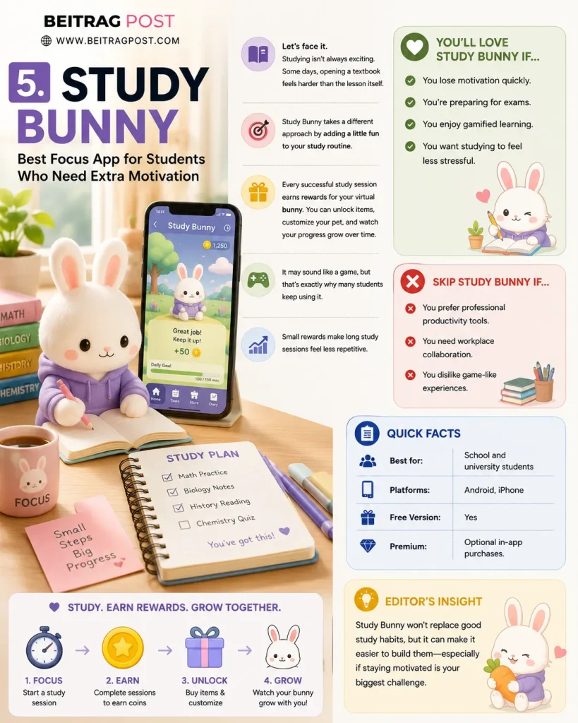 Study Bunny